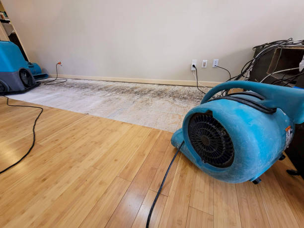 Professional Structural Drying technician working in Garden City, NY